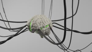 A teacher uses a colorful diagram to explain the human nervous system to curious students in a classroom.